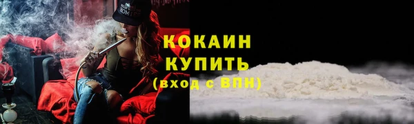 дмт Нея