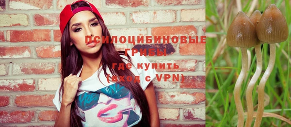 дмт Нея
